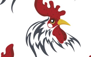 属鸡和属兔越冲越旺怎化解呢（解答属鸡和属兔相冲的化解方法） ！