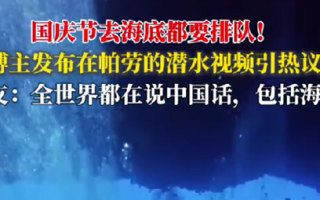 中国游客在帕劳潜水像下饺子：去海底都要排队 鱼还没有人多 ！