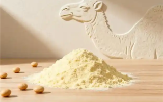 比牛奶营养价值高十倍!驼奶那么神吗 还是智商税 ! 比牛奶营养价值高十倍!驼奶那么神吗 还是智商税 !