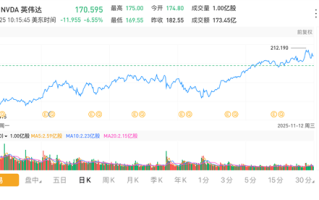 英伟达股票暴跌超6% 市值较最高点跌去1万亿美元 ！