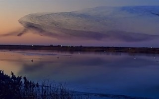 数十万只候鸟迁徙似巨鲲 网友：庄子逍遥游里“北冥有鱼”是真的 ！