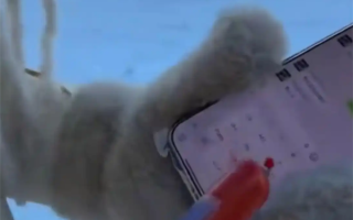 游客带火腿肠勇闯东北 玩手机不冻手 饿了还能充饥 ！