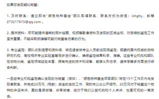 全球已知存活两只雄性斑鳖 寻鳖悬赏涨到20万元 志愿者：近200份线索都不是 !