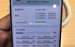 华为Pura 80处理器确认：搭载麒麟9010S !