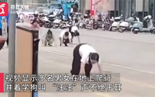 广东惠州街头多人爬行学狗叫 社区：正排查是哪家公司 疑为公司制度 ！