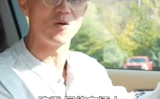 多平台被禁言 偷税247.48万元！一条广告报价80万 揭秘陈震究竟有多赚钱 ！