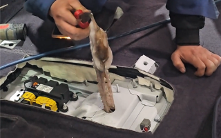 八爪鱼钻车内失踪3天车主崩溃求助：找到后快把修车师傅熏吐了 ！