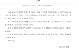 沈阳宣布恢复手机、平板国补：补贴资格发放时间出炉 !