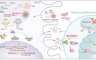 首次证实！红斑狼疮研究取得新突破 !