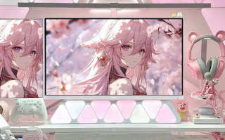 盛色推出新款24.5寸显示器：1080P 320Hz屏补贴价806元 !