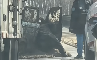 味道溢出屏幕 老头乐不守交规被拉粪车泼一车粪 ！