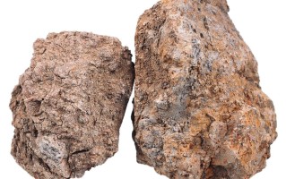 桦树茸产地在哪里（桦树茸的原产地解析） ！