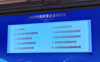 2025中国民营企业500强公布：京东阿里前二 华为未进前三 !