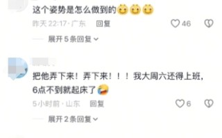 一只猫咪在大树上安逸睡觉 吹着小风很惬意 网友：这姿势咋“解锁” !