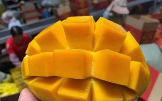 芒果的营养价值及禁忌（了解芒果的营养价值和食用禁忌） ！