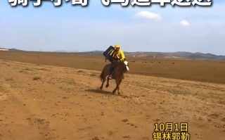 游客在大草原点外卖 骑手小哥飞马追车送达 网友：遇到了真骑手 不白来 !