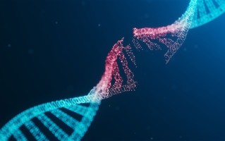 英国诞生8名“三亲婴儿”：拥有1个爸2个妈 !