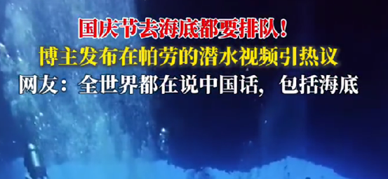 中国游客在帕劳潜水像下饺子:去海底都要排队 鱼还没有人多 !-第1张图片-乍过网 中国游客在帕劳潜水像下饺子:去海底都要排队 鱼还没有人多 !-第1张图片-乍过网